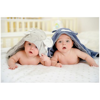 Tranh cặp em bé sinh đôi đáng yêu chất liệu bóng kiếng BB0017