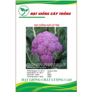 Hạt giống súp lơ tím f1 ct354 - gói 10 hạt