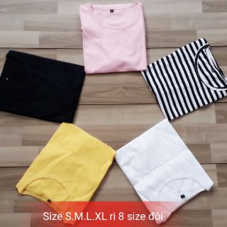 Áo thun coton 4 chiều size CỒ