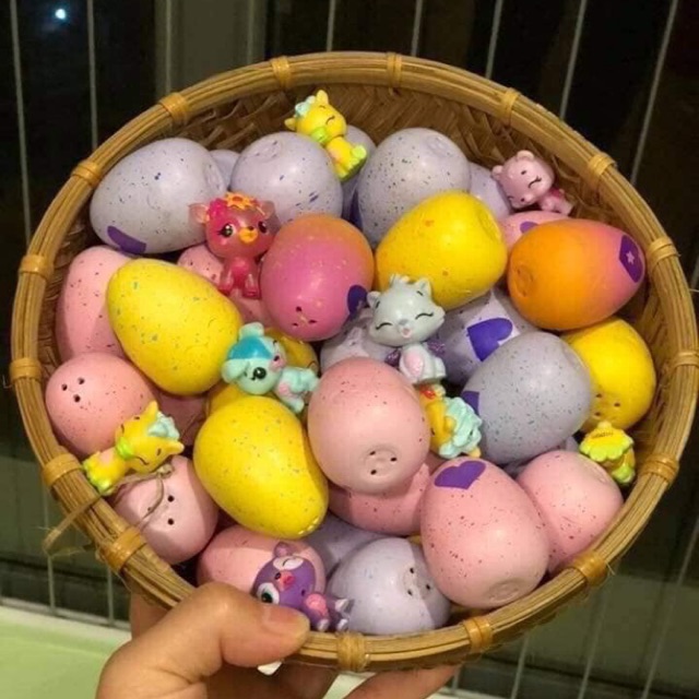 SET 10 quả trứng Hachimal