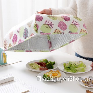 Lồng bàn gấp gọn-T3A1