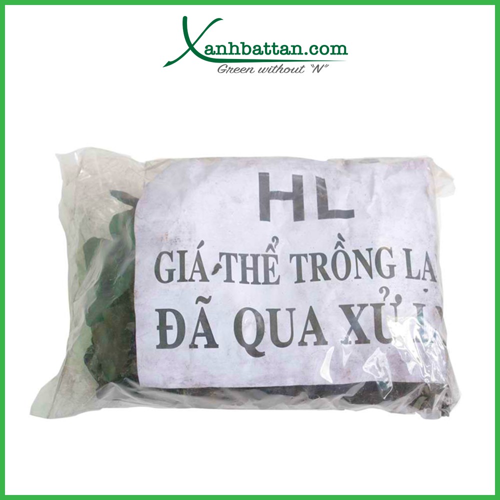 Giá Thể Than Củi Trồng Lan Đã Xử Lý