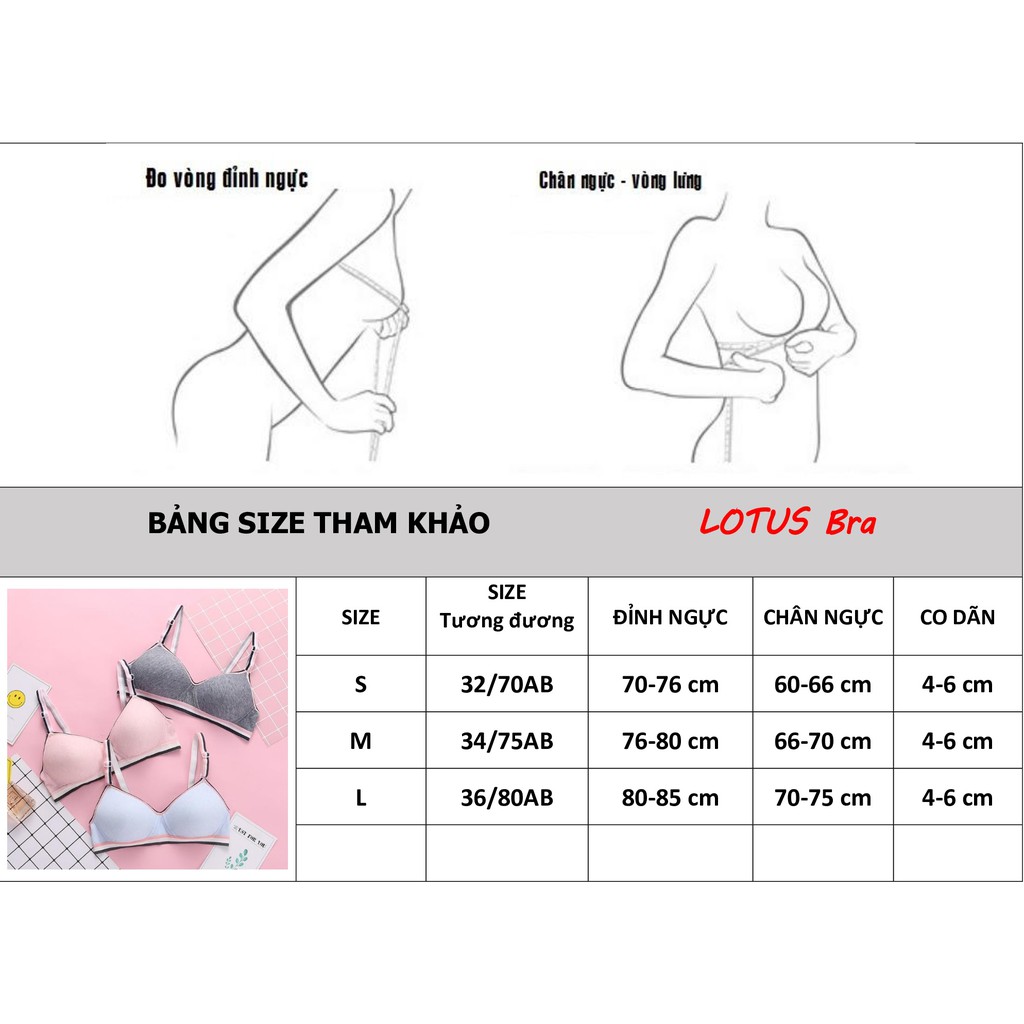 Áo ngực nữ áo lót ngực bralette chất cotton không gọng đệm mỏng phom ôm ngực mặc mát 4 màu | BigBuy360 - bigbuy360.vn