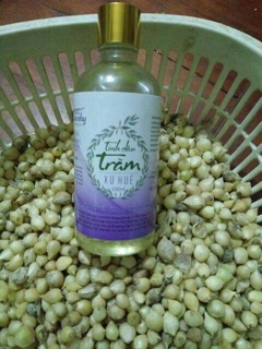 Dầu tràm Hiểu Nhy 50 ml