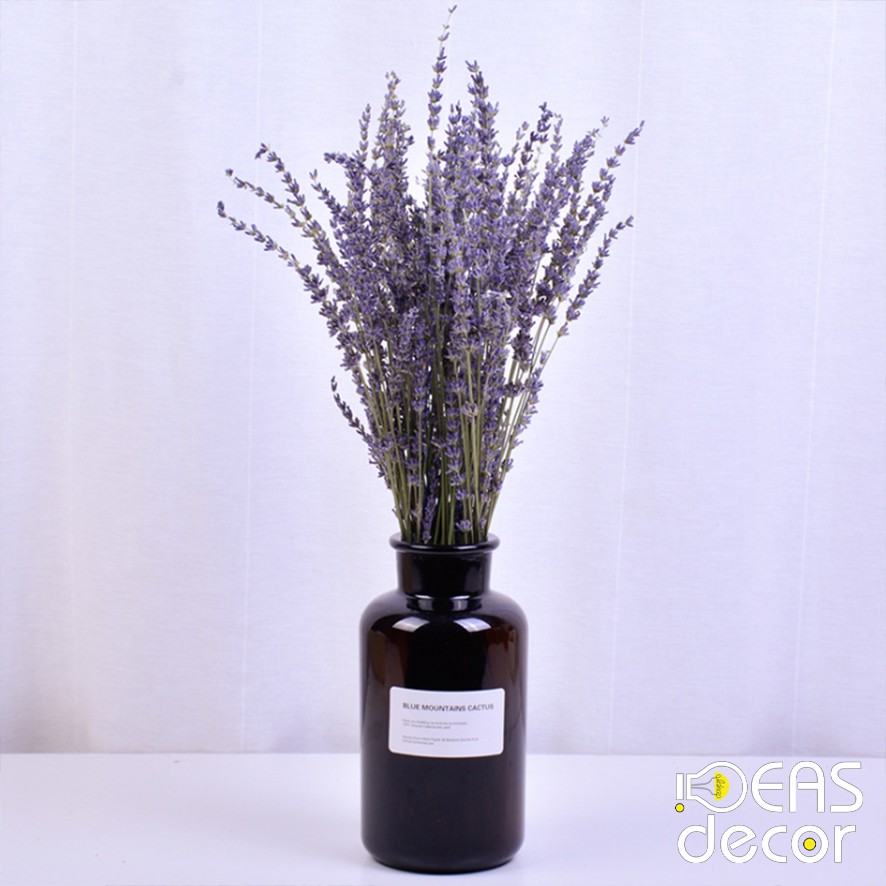 Bó hoa Lavender khô - Chụp ảnh quần áo, đồ ăn, thức uống, mỹ phẩm, trang sức - Ideas Decor