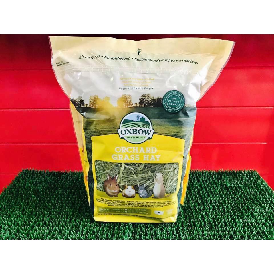 Oxbow Orchard Hay - Cỏ khô cho Thỏ, Bọ, Chinchilla