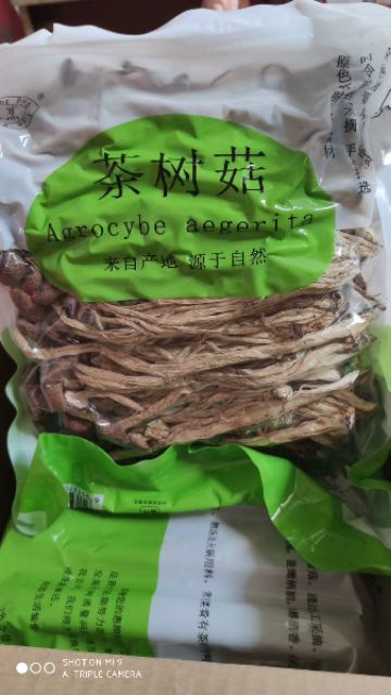 Nấm cây trà dưỡng sinh