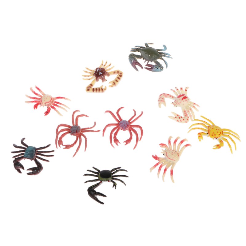 Đồ Chơi Mô Hình Con Cua Cho Trẻ Em