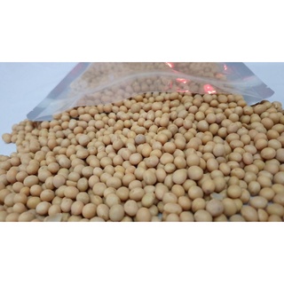 Đậu nành Canada túi 1kg.