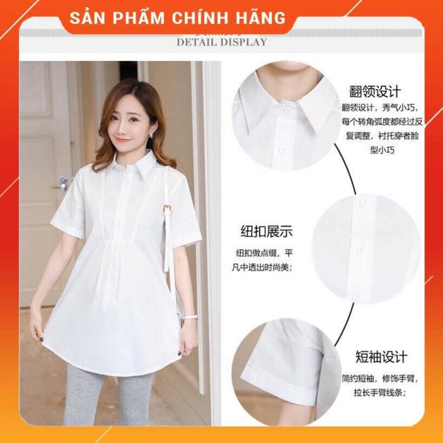 Áo sơ mi bầu cộc tay Xuân hè chất đẹp + quần ngố chất đẹp uni Hàn không phải cotton co giãn 4 chiều mát, mềm, mịn