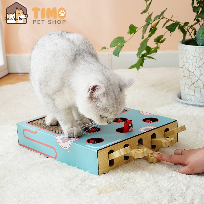 Hộp Đồ Chơi Đập Chuột Kèm Bàn Cào Móng Cho Mèo - Loại Mới 2021 (Tặng Kèm Đồ Chơi &amp; Catnip)