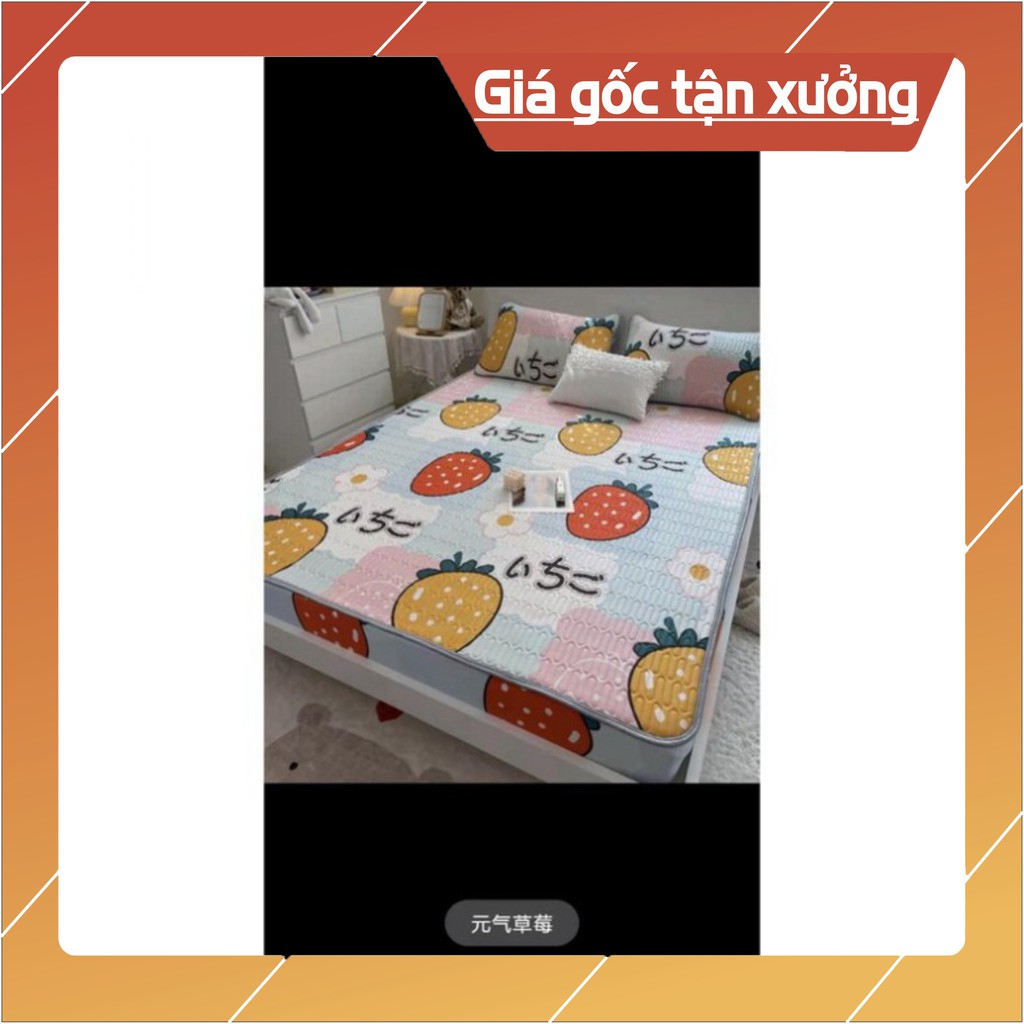 [FreeShip - CHỈ HÔM NAY] CHIẾU ĐIỀU HÒA TENCEL LATEX CAO SU NON in 3D siêu mát tặng kèm 2 vỏ gối | BigBuy360 - bigbuy360.vn