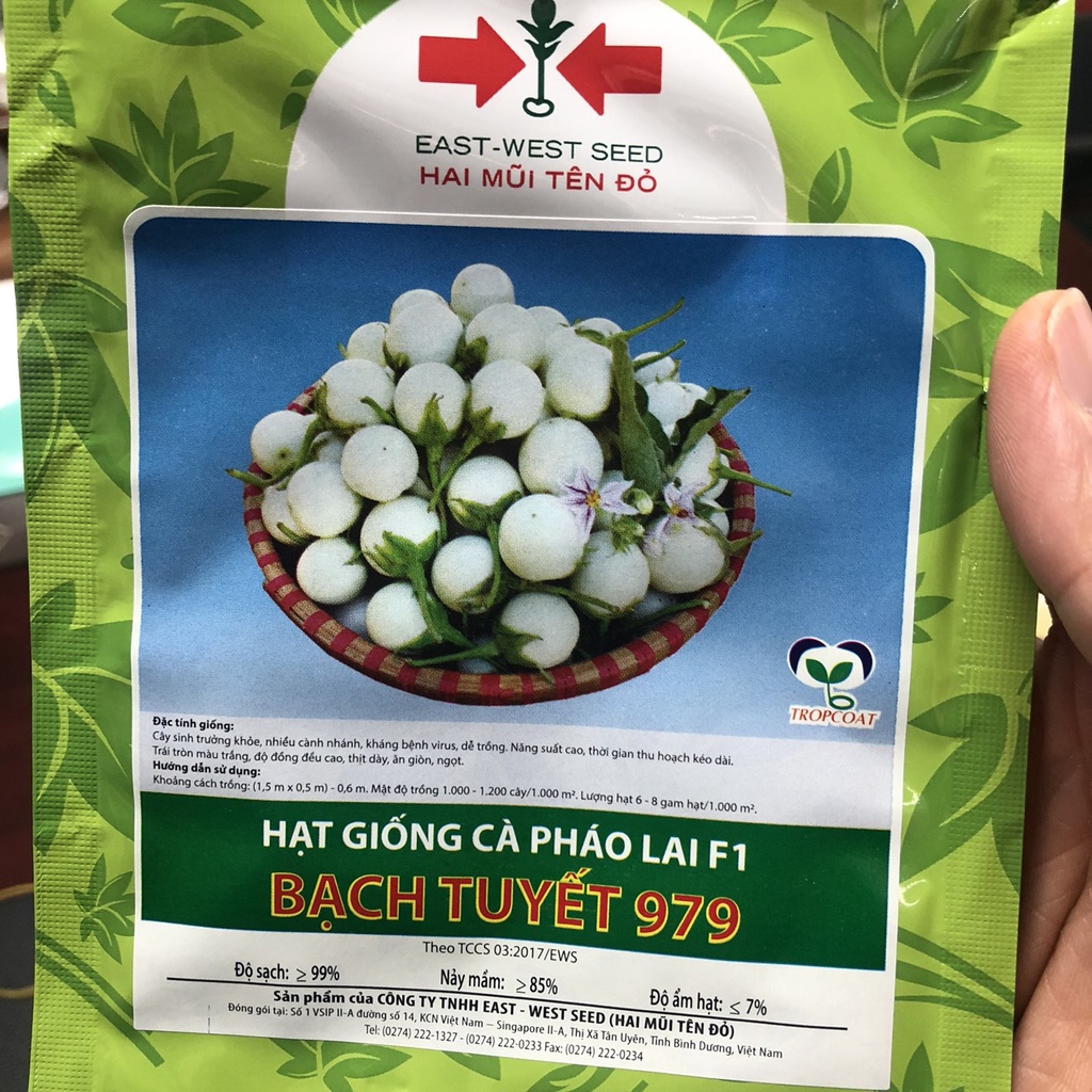 Hạt giống cà pháo trắng lai F1 Loại Đặc Biệt túi 1g
