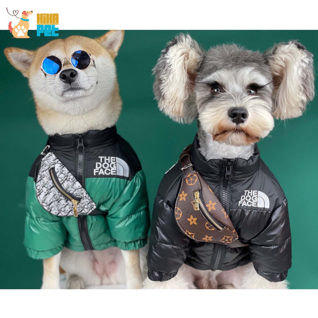 Balo Thú Cưng Hàn Quốc Dễ Thương Túi Quai Chéo Đeo Lưng Chó Mèo Thời Trang Giá Rẻ Hihapet.