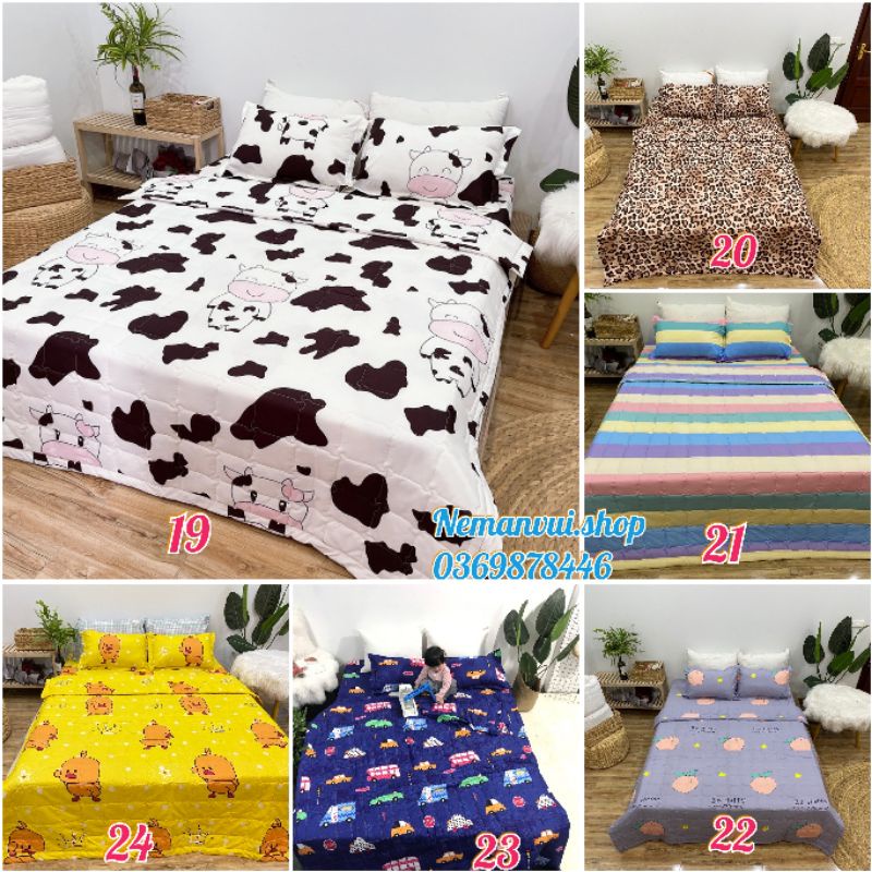 Bộ drap cotton poly mẫu mới