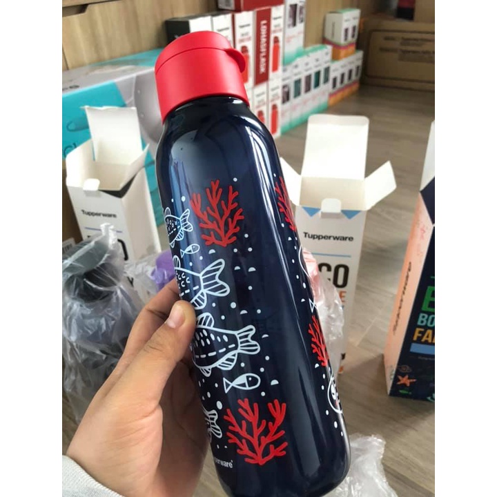 Bình Nước Eco Bottle Fancy 750ml