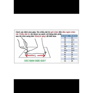 Giày xvessel rách cao cổ mới nhất