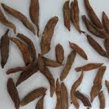 Mạch môn nam sấy khô nguyên chất 100 gram.