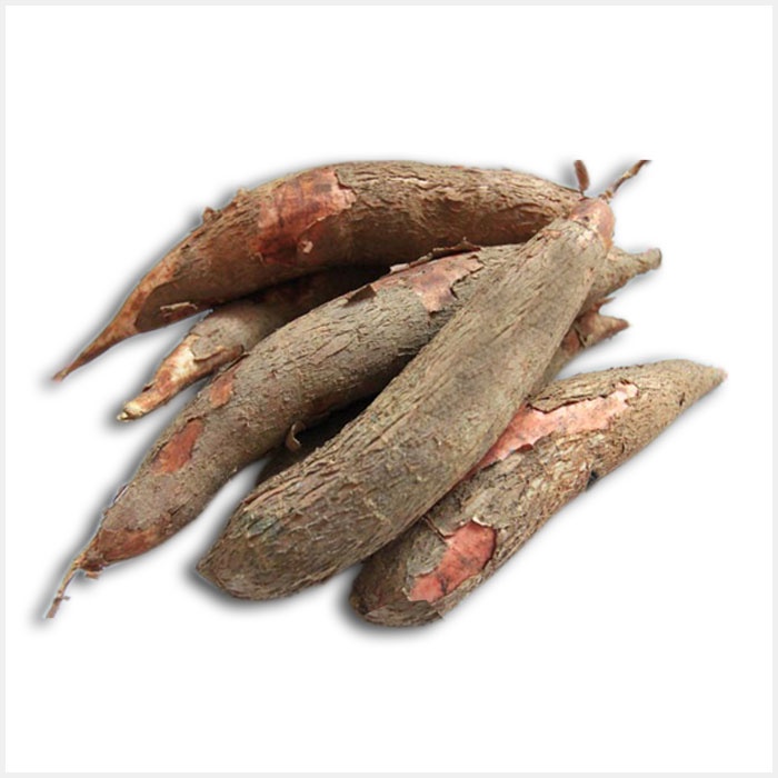 Khoai mì tươi (Sắn) 1kg có thể luộc hấp nướng và làm bánh rất ngon
