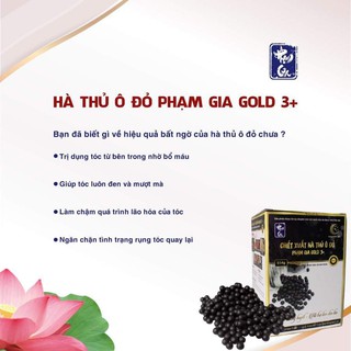 Hà Thủ Ô Phạm Gia