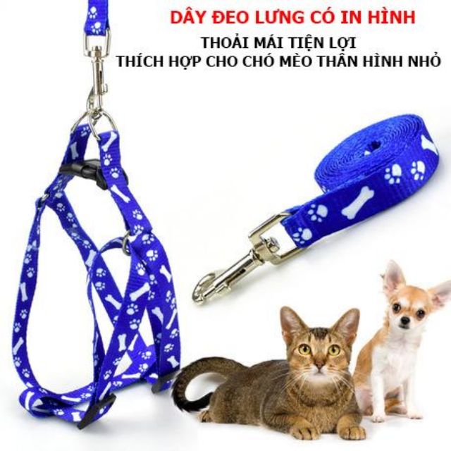 DÂY DẮT THÚ CƯNG / CHÓ MÈO ĐI DẠO GIÁ RẺ (DƯỚI 5KG)