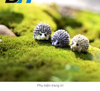 Phụ kiện tiểu cảnh: nhím rừng