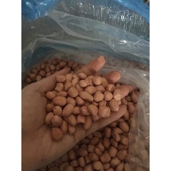 500g Hạt đậu phộng/hạt lạc giống thuần Đăk lăk