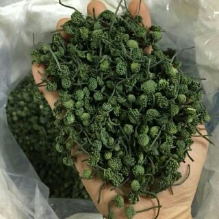 300g nụ hoa tam thất bao tử
