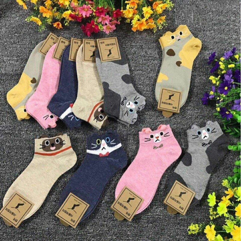 [Rẻ Vô Địch] Combo 5 Đôi Vớ Thời Trang Cổ Ngắn 709 - FS0061