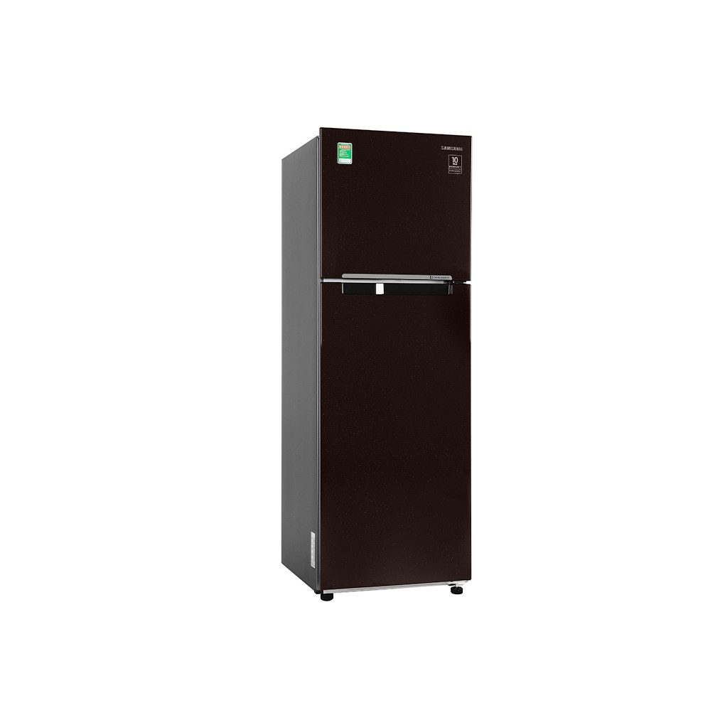 [ GIá Hủy Diệt ] Tủ lạnh Samsung Inverter 256 lít RT25M4032BY/SV