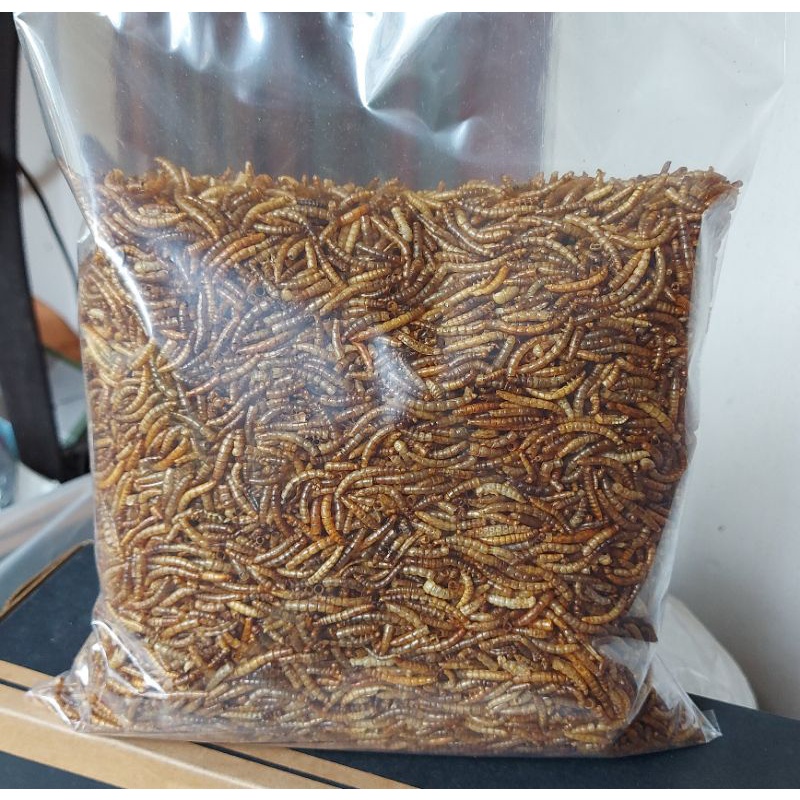 Sâu trung sấy cho hamster, nhím 0,5kg
