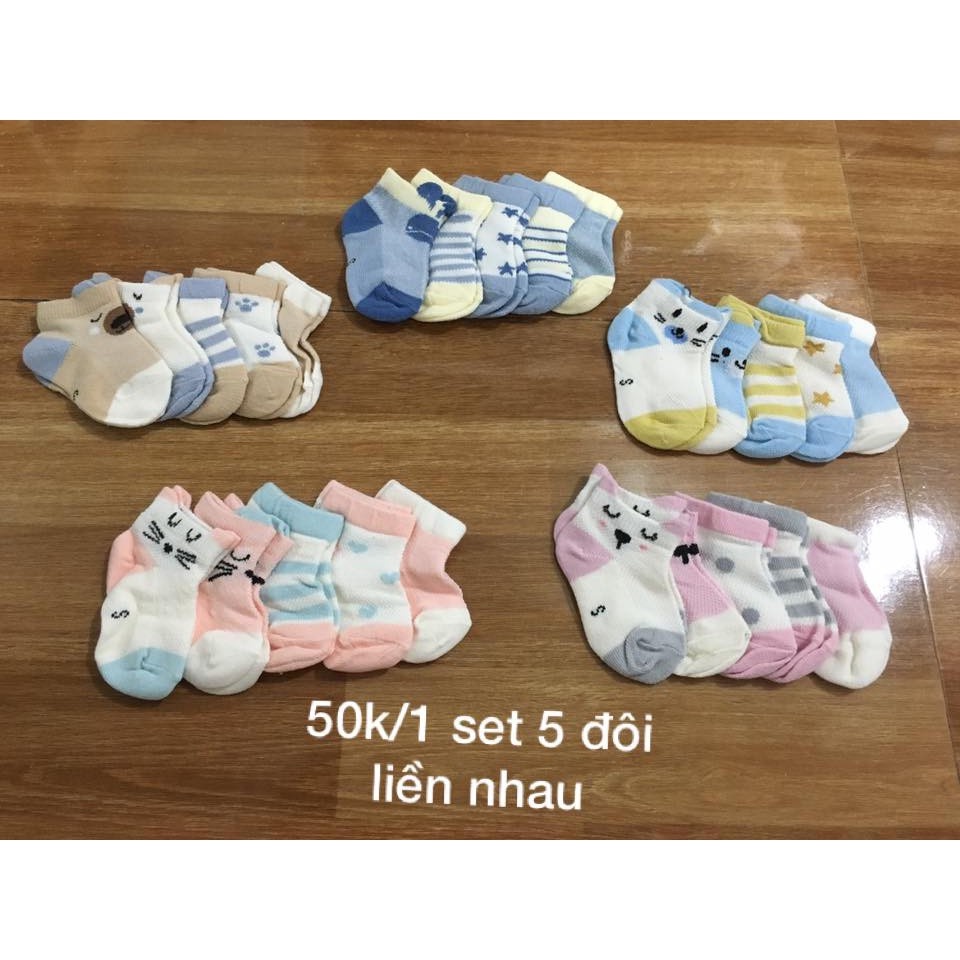 Set 5 đôi tất mèo cho bé, tất mèo cổ ngắn cho bé trai, bé gái, set tất cho bé sơ sinh