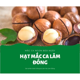 Hạt mắc ca sấy nứt vỏ Lâm Đồng Loại 1