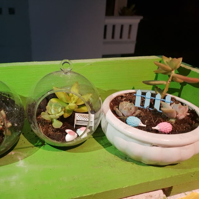 Entee - Foods & Drinks