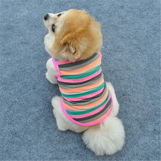 Áo Thun Cotton Cho Thú Cưng