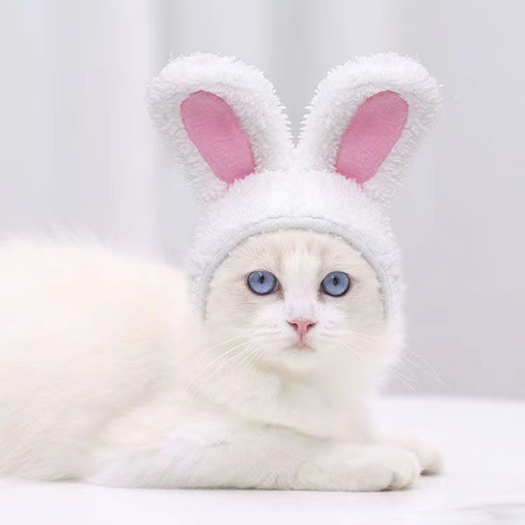Mũ tai thỏ xinh xắn cho chó mèo , thú cưng , phụ kiện thời trang quần áo chó mèo LI0498