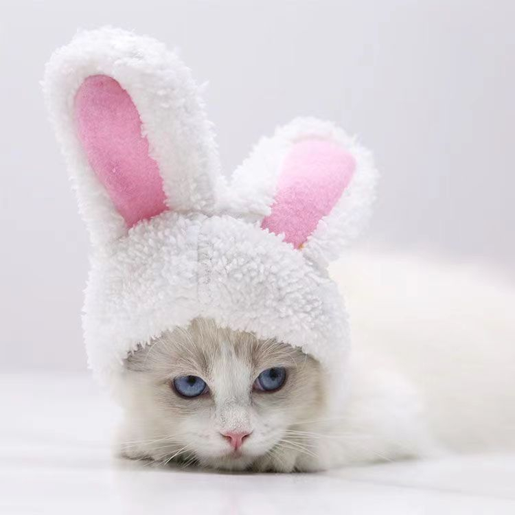 Mũ tai thỏ xinh xắn cho chó mèo , thú cưng , phụ kiện thời trang quần áo chó mèo LI0498