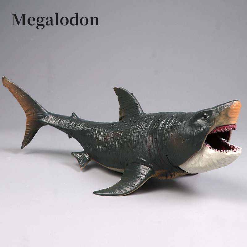 Mô Hình Cá Mập Biển Đồ Chơi Cho Bé