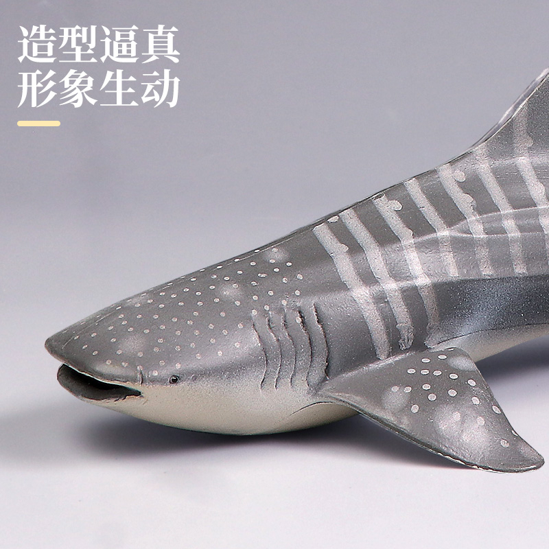 Mô Hình Cá Mập Biển Đồ Chơi Cho Bé