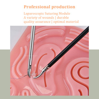 Mô Đun Silicone Mô Đun Laparoscopy 3D Chuyên Dụng