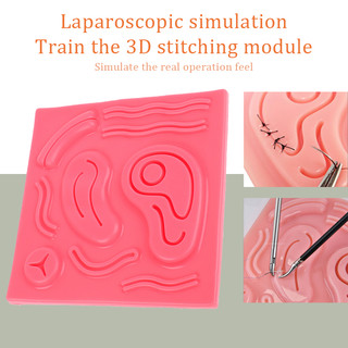 Mô Đun Silicone Mô Đun Laparoscopy 3D Chuyên Dụng