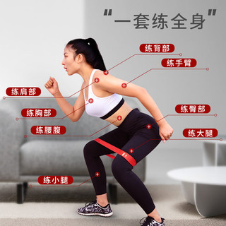 Dây đai kháng lực co giãn hỗ trợ luyện tập gym / yoga
