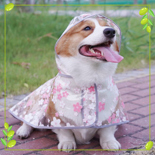 【MaoingPet】Áo Mưa Trong Suốt In Hình Chú Chó Corgi Teddy Màu Vàng Kim Dễ Thương Cho Thú Cưng