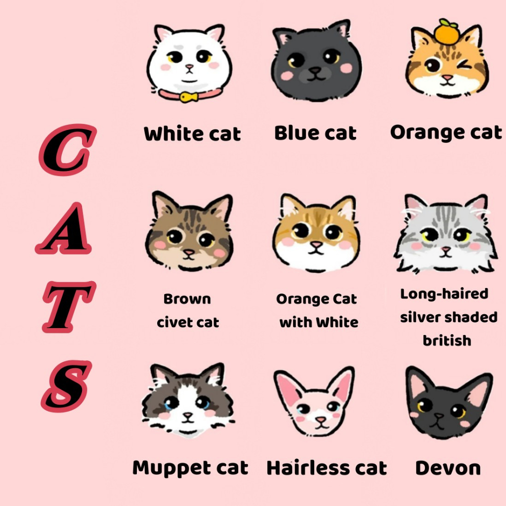 Thẻ Tên Đeo Cổ Chống Thất Lạc Bằng Acrylic 2.5cm Và 3cm Dành Cho Thú Cưng