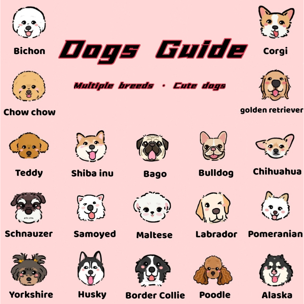 Thẻ Tên Đeo Cổ Chống Thất Lạc Bằng Acrylic 2.5cm Và 3cm Dành Cho Thú Cưng