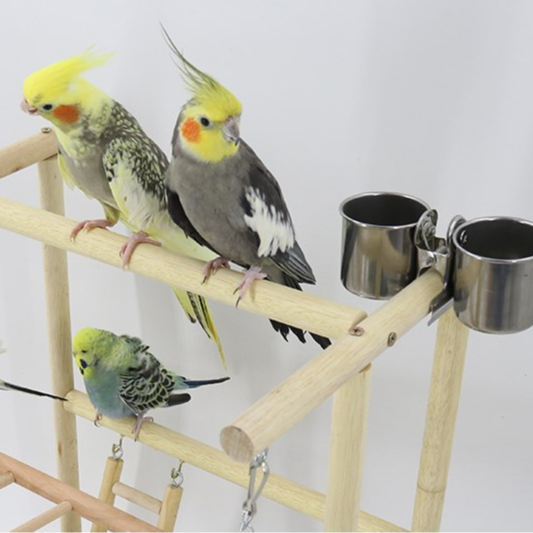 Elsabell. Cầu đứng gỗ dành cho chim, vẹt size nhỏ, size trung như lovebird, yến phụng, cock, sun, xích, ngực hồng