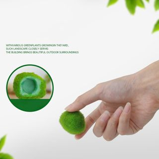Cây Tảo Biển Giả Trang Trí Bể Cá 3-4cm