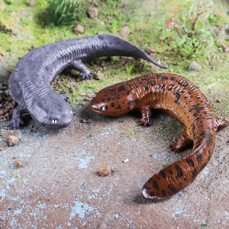 Mô Hình Cá Nhiệt Đới Đồ Chơi Giáo Dục Cho Bé