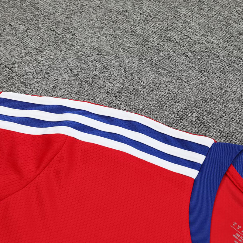 Bộ Quần Áo Bóng Đá Ngắn Tay Đội Bayern Mùa Giải 2023-24 Size S-2XL