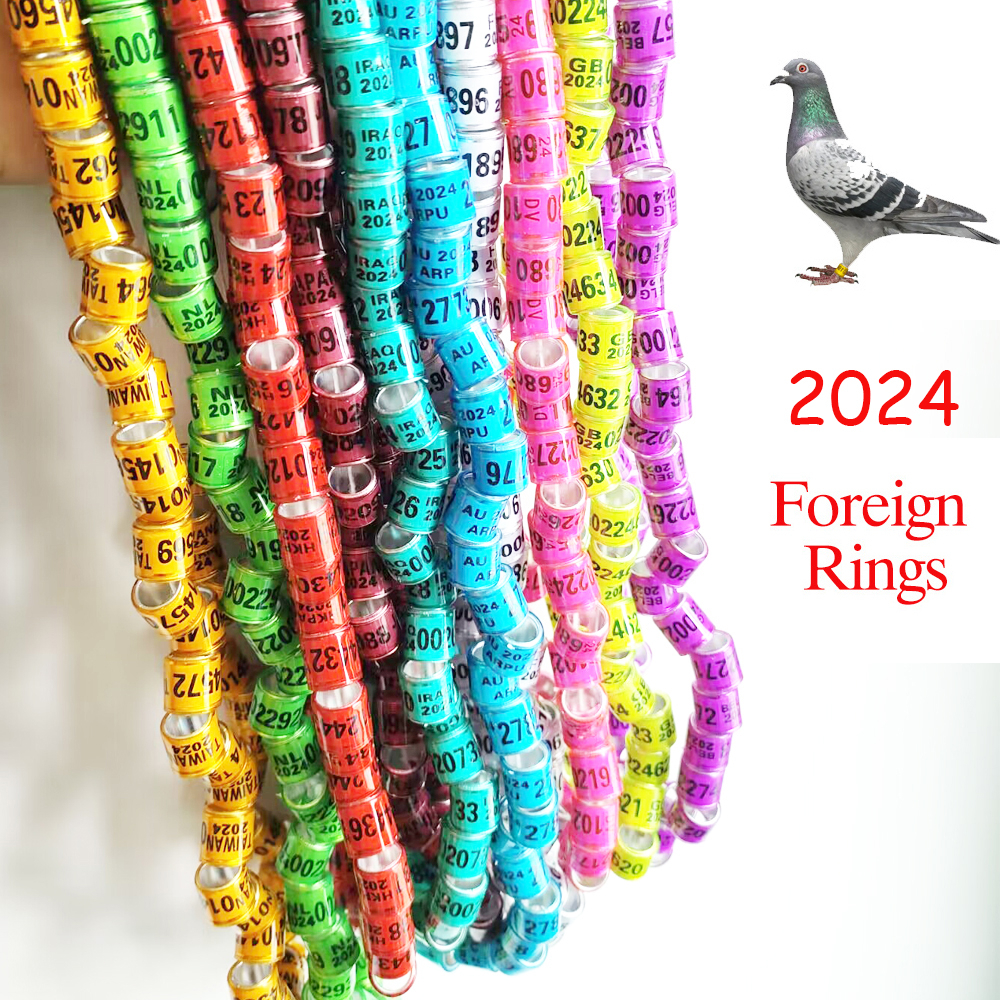 Set 50 Vòng Gắn Chân Chim Bồ Câu 8 * 11mm 2024